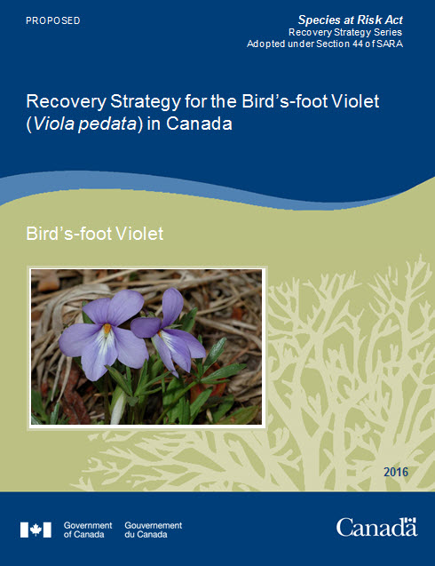 Recovery Strategy for the Bird's-foot Violet