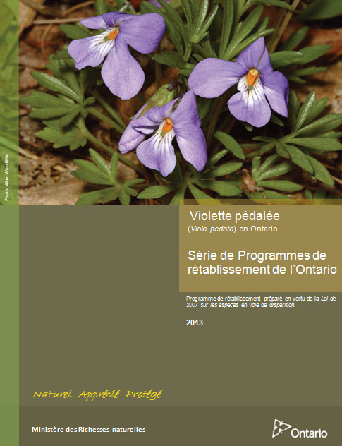 Bannière de la Série de Programmes de rétablissement de l'Ontario de la Violette pédalée