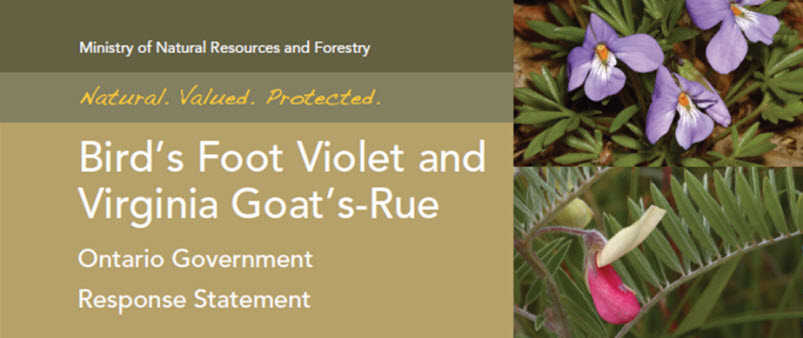 Ontario Government Response Statement