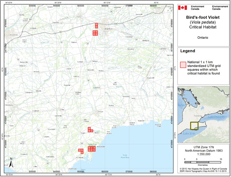 Grid squares that contain critical habitat for Bird's-foot Violet