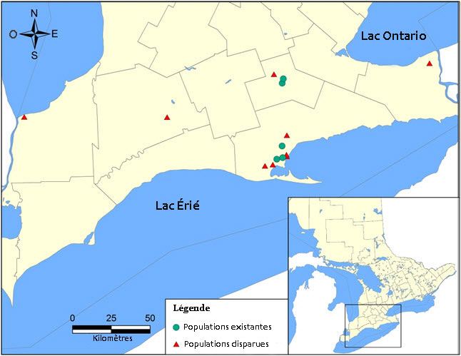 Populations existantes et disparues de violette pédalée