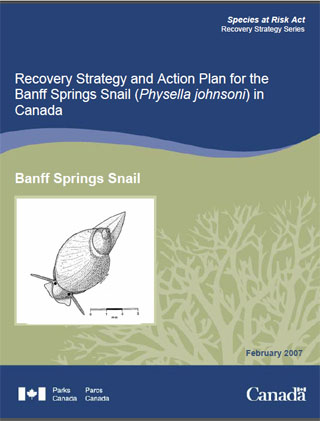 Species at Risk Act recovery strategy series, recovery strategy and action plan for the Banff springs snail (Physella johnsoni) in Canada (February 2007).