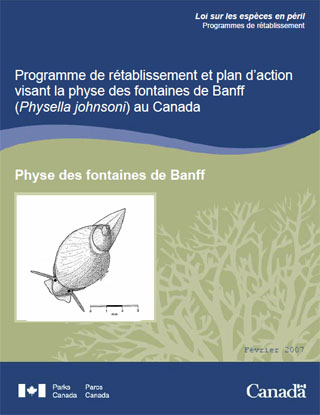 Loi sur les espèces en péril Série de Programmes de rétablissement, Programme de rétablissement et plan daction visant la physe des fontaines de Banff (Physella johnsoni) au Canada (février 2007).
