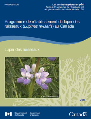 Couverture de la publication