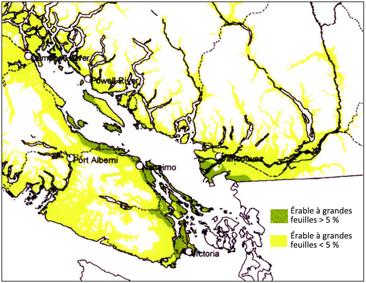 Aire de répartition de l'érable à grandes feuilles dans le sud-ouest de la Colombie-Britannique