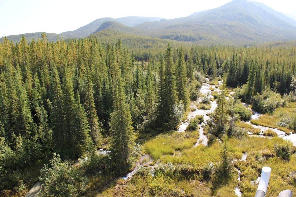 La description de cette image suit