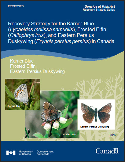 Recovery Strategy for the Karner Blue, Frosted Elfin and Eastern Persius Duskywing