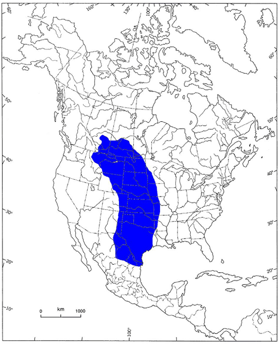 Aire de répartition approximative de la Pie grièche migratrice des Prairies en Amérique du Nord. (Voir description longue ci-dessous.)
