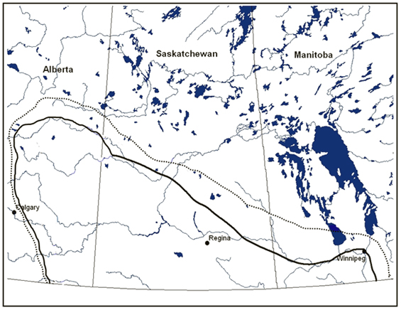 Former range (broken line) and the current range (solid line) of the Prairie Loggerhead Shrike in prairie Canada. (See long description below)