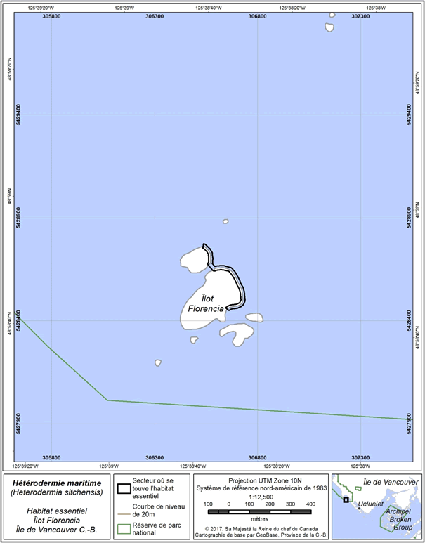 Figure 3 : Zone (9,5 ha) où l’on trouve l’habitat essentiel sur l’îlot Florencia.