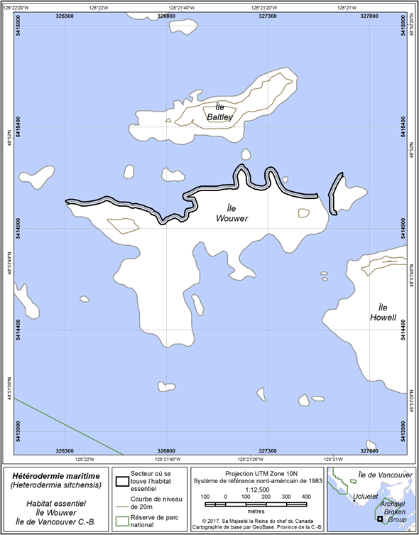 Figure 5 : Zone (4,0 ha) où l’on trouve l’habitat essentiel sur l’île Wouwer et le petit îlot à l’est (séparé de l’île à marée haute).