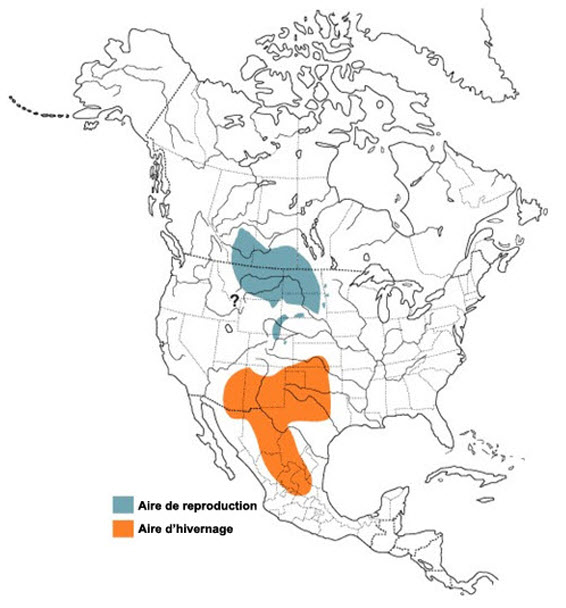 Aire de reproduction et aire d'hivernage