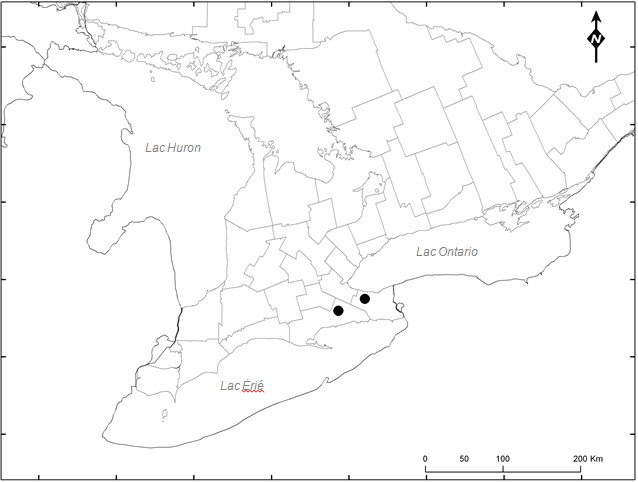 Aire de répartition mondiale de la mauve de Virginie