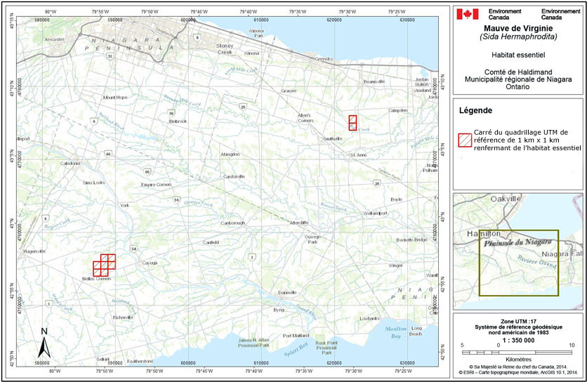 Carrés du quadrillage renfermant de l'habitat  essentiel de la mauve de Virginie au Canada.