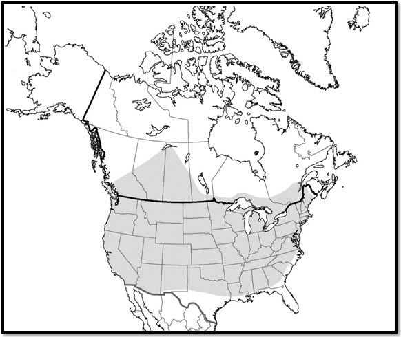 The geographic range of the Nine-spotted lady Beetle