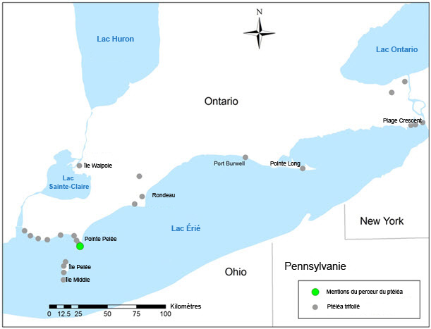 Carte montrant la répartition du ptéléa trifolié