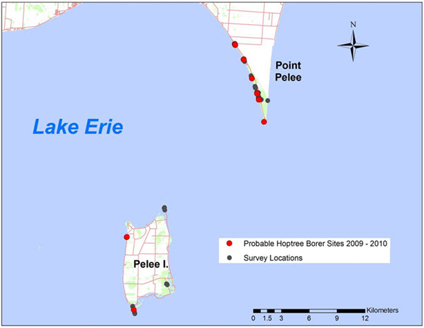 Map showing probable Hoptree Borer records