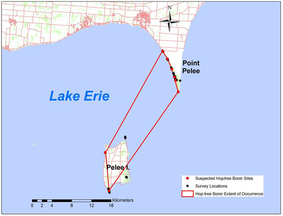 Extent of occurrence map for Hoptree Borer