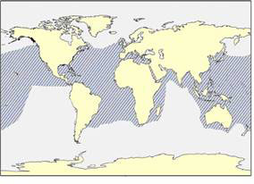 Figure 2: Global range of Loggerhead Sea Turtles (See long description below)