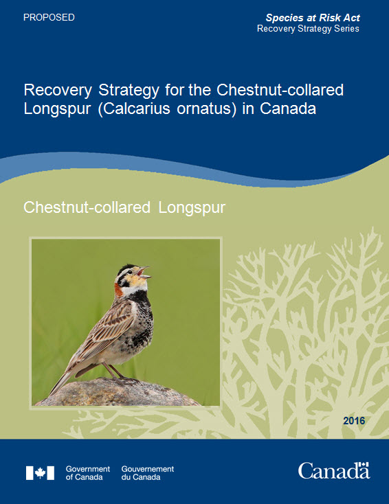 Recovery Strategy for the Chestnut-collared  Longspur