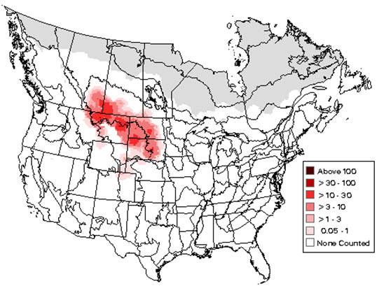 Breeding distribution of the Chestnut-collared Longspur