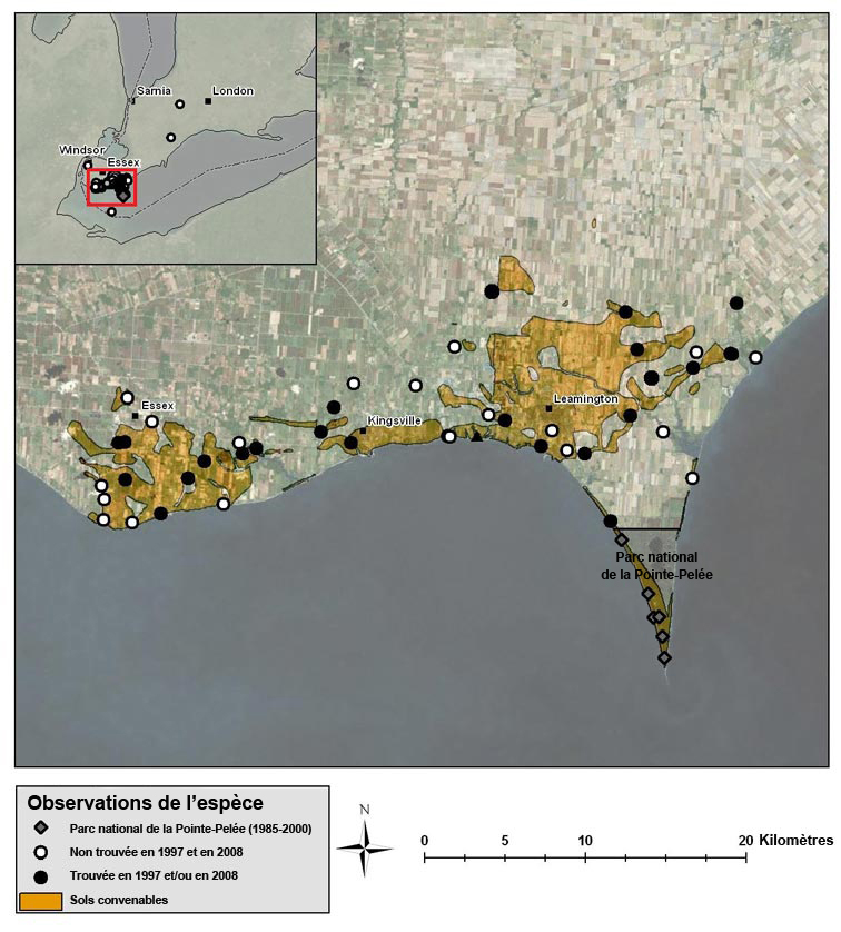 Carte montrant le occurrences de la taupe à queue glabre dans le sud de l’Ontario