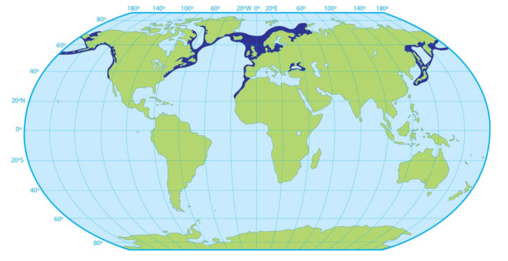 Aire de répartition mondiale du marsouin commun