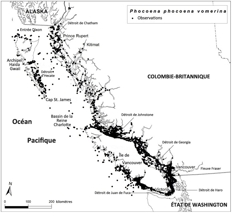 Observations de marsouins communs du Pacifique (5 938)