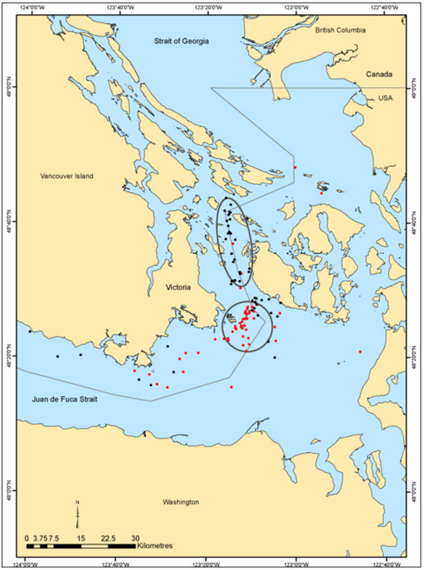 Important areas for Pacific Harbour Porpoise