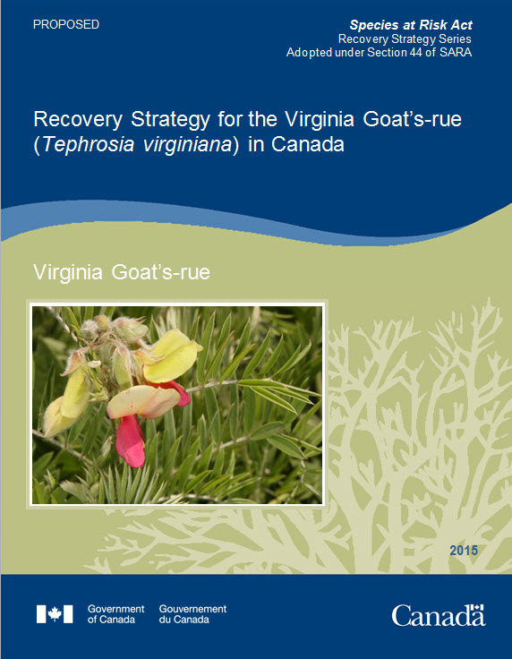 Recovery Strategy for Loggerhead Shrike