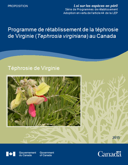 Programme  de rétablissement de la téphrosie de Virginie