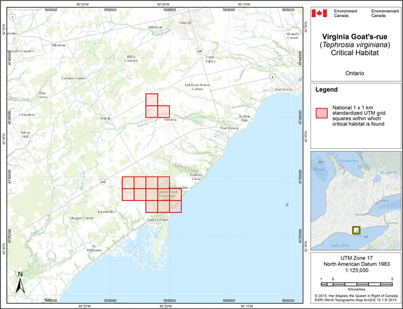 Grid squares that contain critical habitat for Virginia Goat's-rue