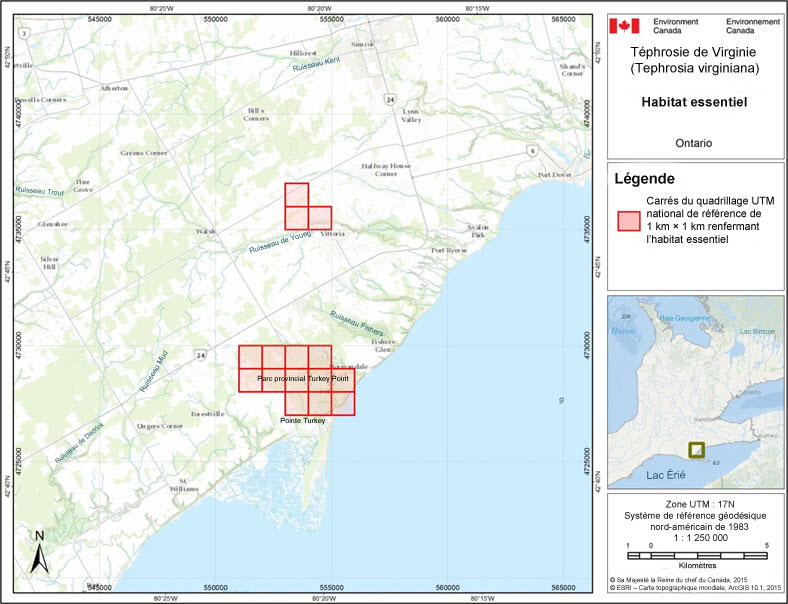 Carrés du quadrillage  renfermant l'habitat essentiel de la téphrosie de Virginie au Canada