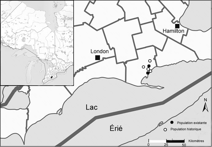 Répartition historique et répartition actuelle de la téphrosie de Virginie en Ontario