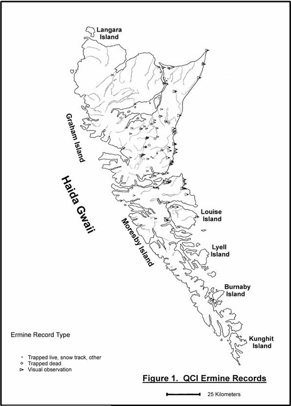 Figure 1. QCI ermine records.