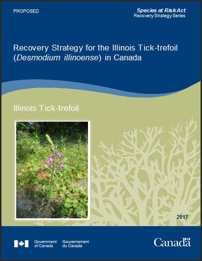 Recovery Strategy for the Illinois Tick-trefoil