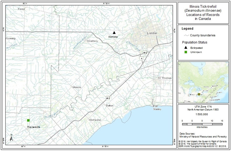 The Canadian distribution of Illinois Tick-trefoil.