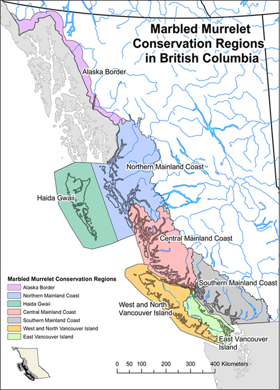 Figure 2. Map of the seven conservation regions recognized by the Marbled Murrelet Recovery Team in B.C. Map provided by M. Mather and L. Sinclair (B.C. Ministry of Forests, Lands and Natural Resource Operations, Nanaimo, BC). (See long description below)
