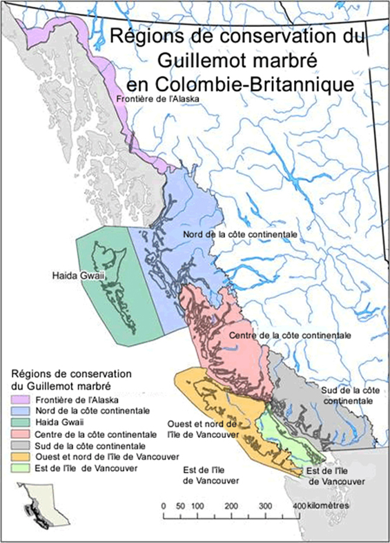 Figure 2. Carte des sept régions de conservation reconnues par l'équipe de rétablissement du Guillemot marbré en Colombie-Britannique.