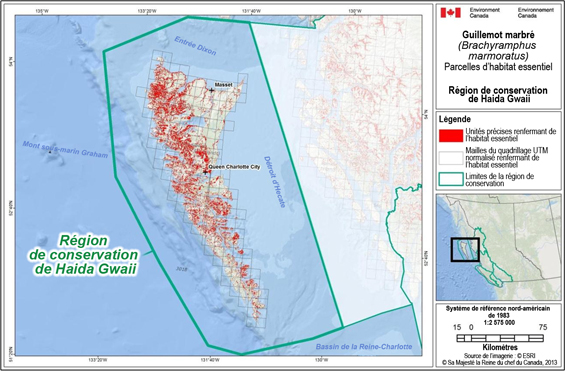 Fig B-1 : Carte illustrant des emplacements d’habitat essentiel parsemés dans l’ensemble de la région de conservation de Haida Gwaii. (Voir description longue ci-dessous.)
