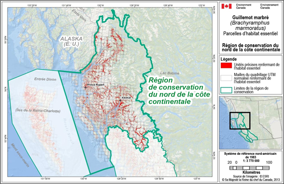 Fig B-2 : Carte illustrant des emplacements d’habitat essentiel parsemés dans l’ensemble de la région de conservation du nord de la côte continentale.  (Voir description longue ci-dessous.)
