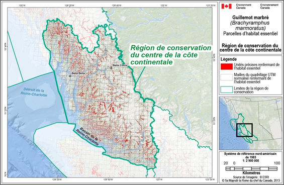 Fig B-3 : Carte illustrant des emplacements d’habitat essentiel parsemés dans l’ensemble de la région de conservation du centre de la côte continentale.  (Voir description longue ci-dessous.)