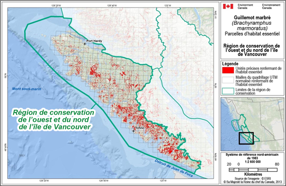 Fig B-4 : Carte illustrant des emplacements d’habitat essentiel parsemés dans l’ensemble de la région de conservation de l’ouest et du nord de l’île de Vancouver.  (Voir description longue ci-dessous.)