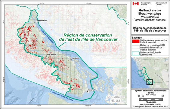 Fig B-5 : Carte illustrant des emplacements d’habitat essentiel parsemés dans l’ensemble de la région de conservation de l’est de l’île de Vancouver.  (Voir description longue ci-dessous.)