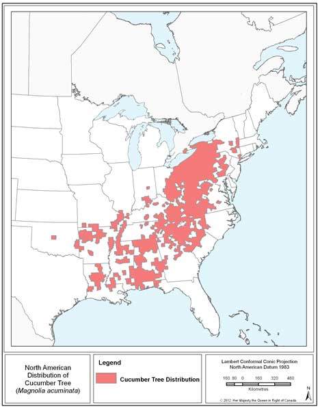 Figure 1 is a map of the North American distribution of Cucumber Tree. (See long description below)