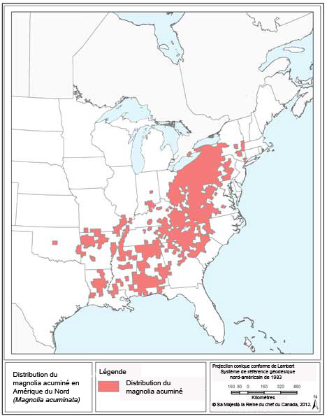 Distribution du magnolia acuminé en Amérique du Nord (d’après Kartesz, 2010). (Voir description longue ci-dessous.)