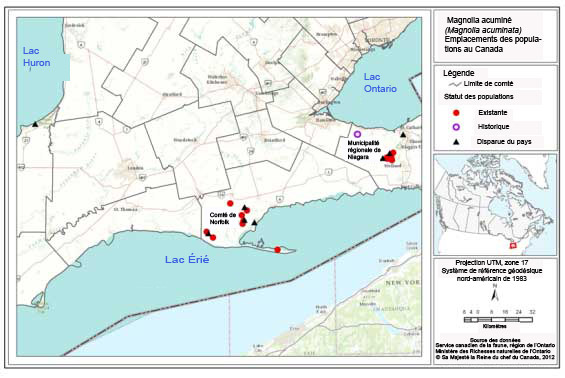 Emplacements des populations de magnolias acuminés au Canada. (Voir description longue ci-dessous.)
