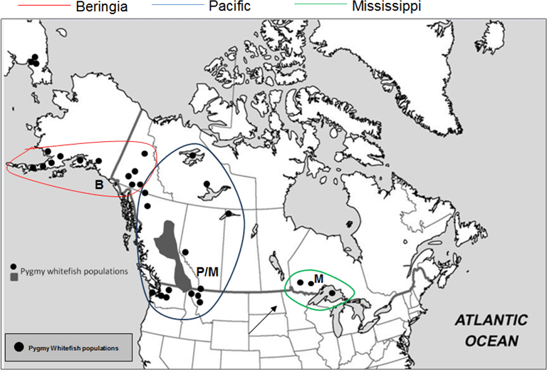Image of map (see long description below)