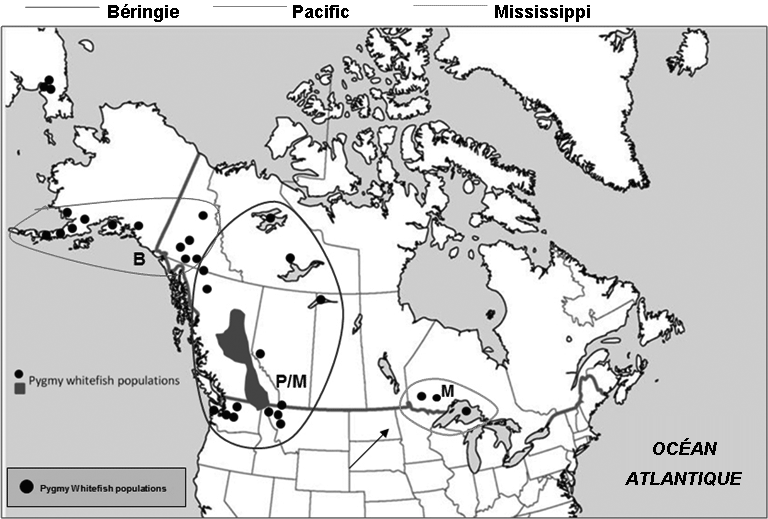 Carte (voir longue description ci-dessous)
