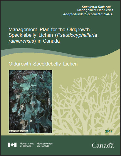 Management Plan for the Oldgrowth Specklebelly Lichen